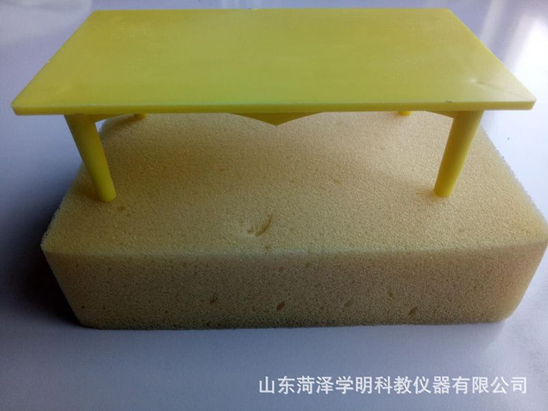 壓力和壓強(qiáng)實(shí)驗(yàn)器